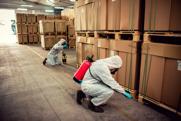 Best Cockroach Control Services  in Meadowbrook, VA