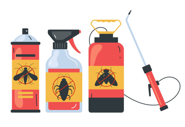 Best Ant Control Services  in Meadowbrook, VA