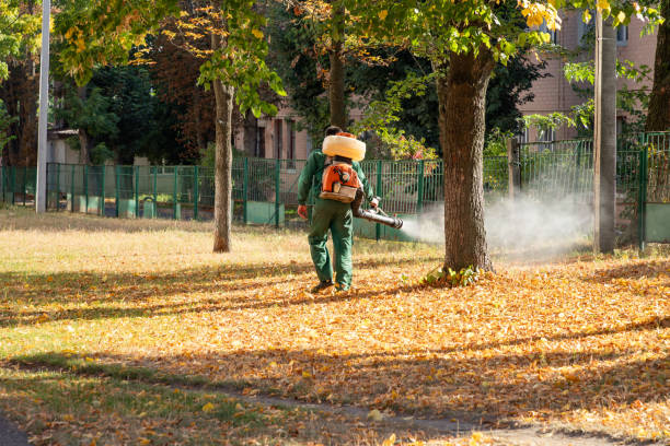 Trusted Meadowbrook, VA Pest Control Experts